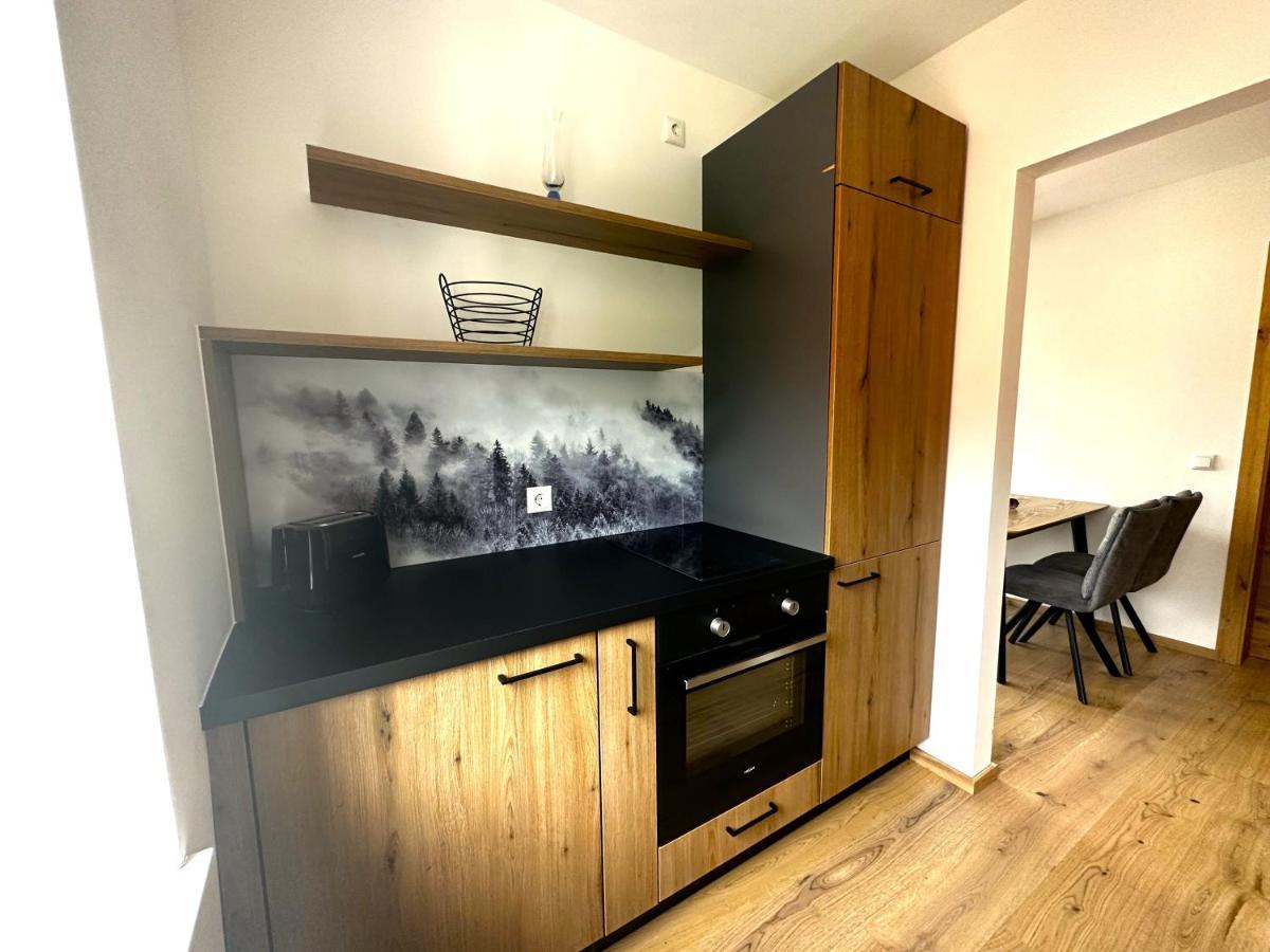 Appartement Bergmann Ebensee Εξωτερικό φωτογραφία