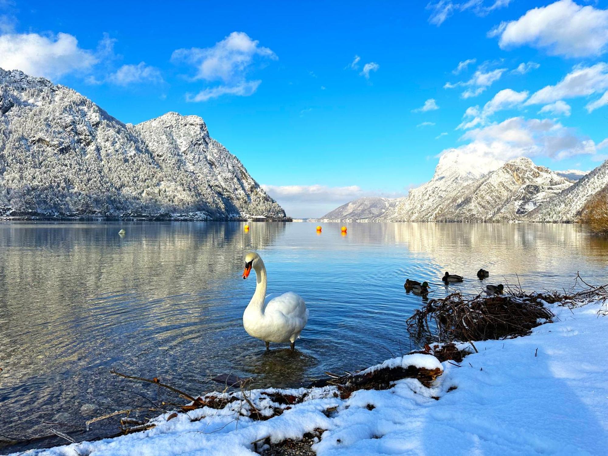 Appartement Bergmann Ebensee Εξωτερικό φωτογραφία
